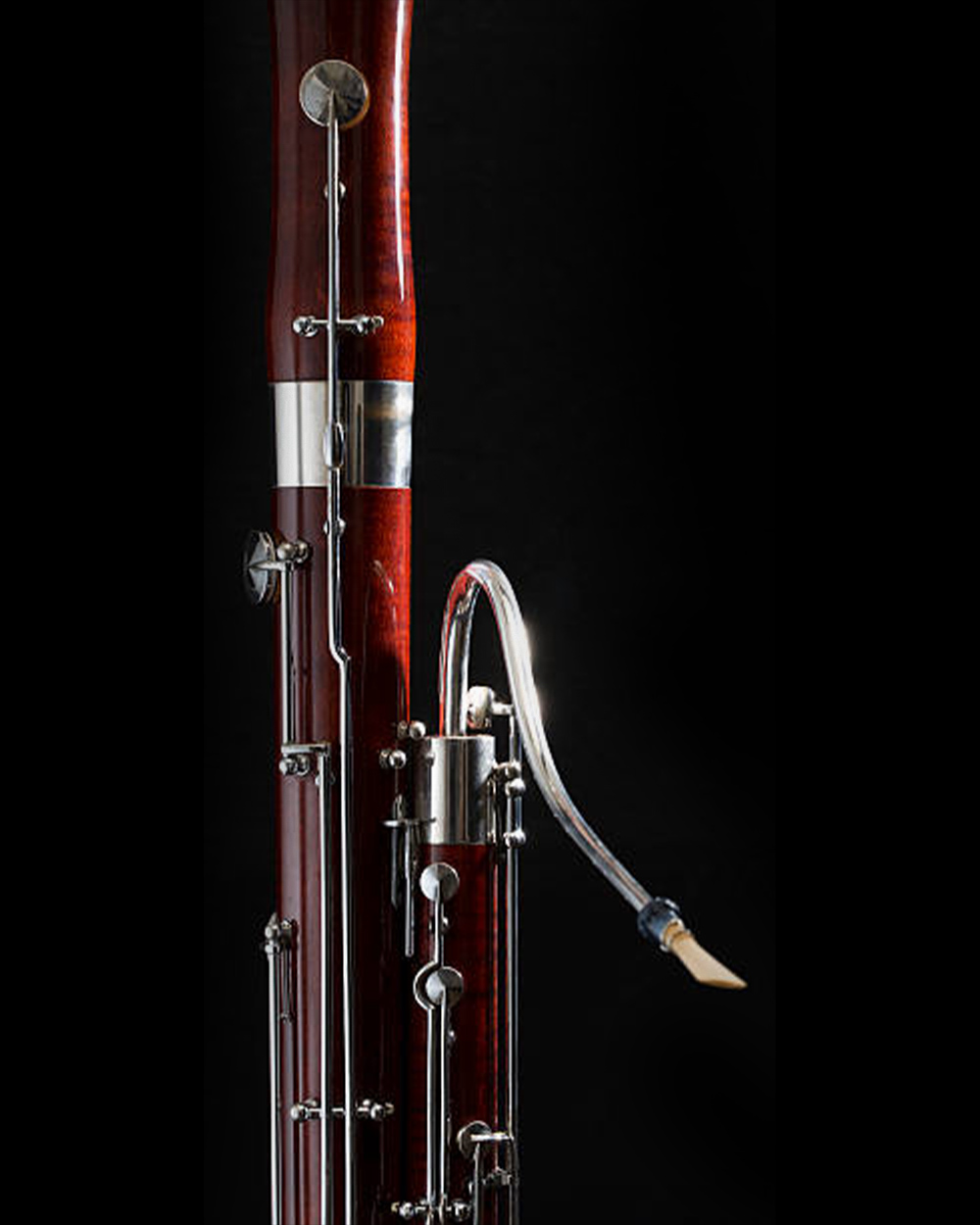 bassoon
