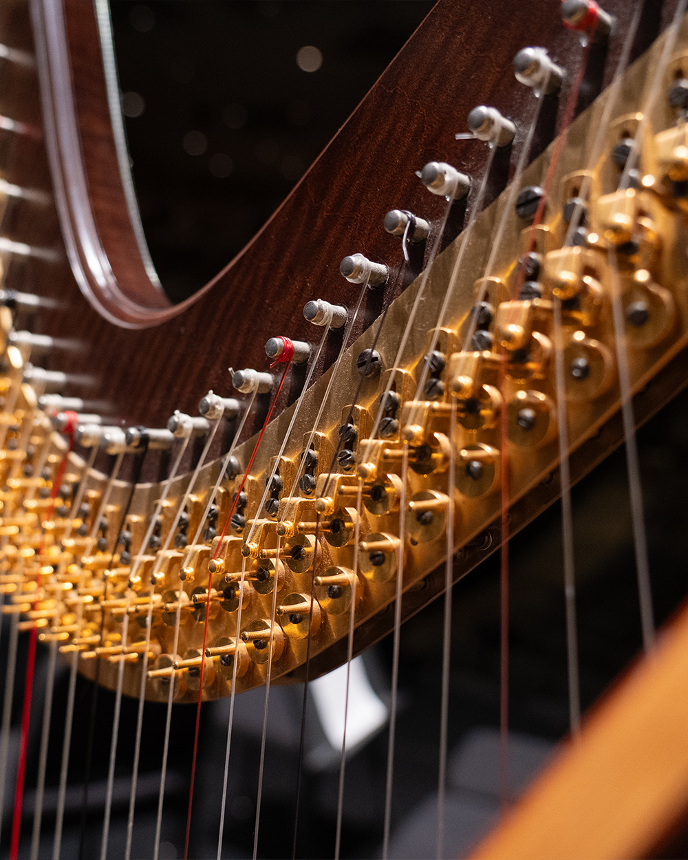 harp