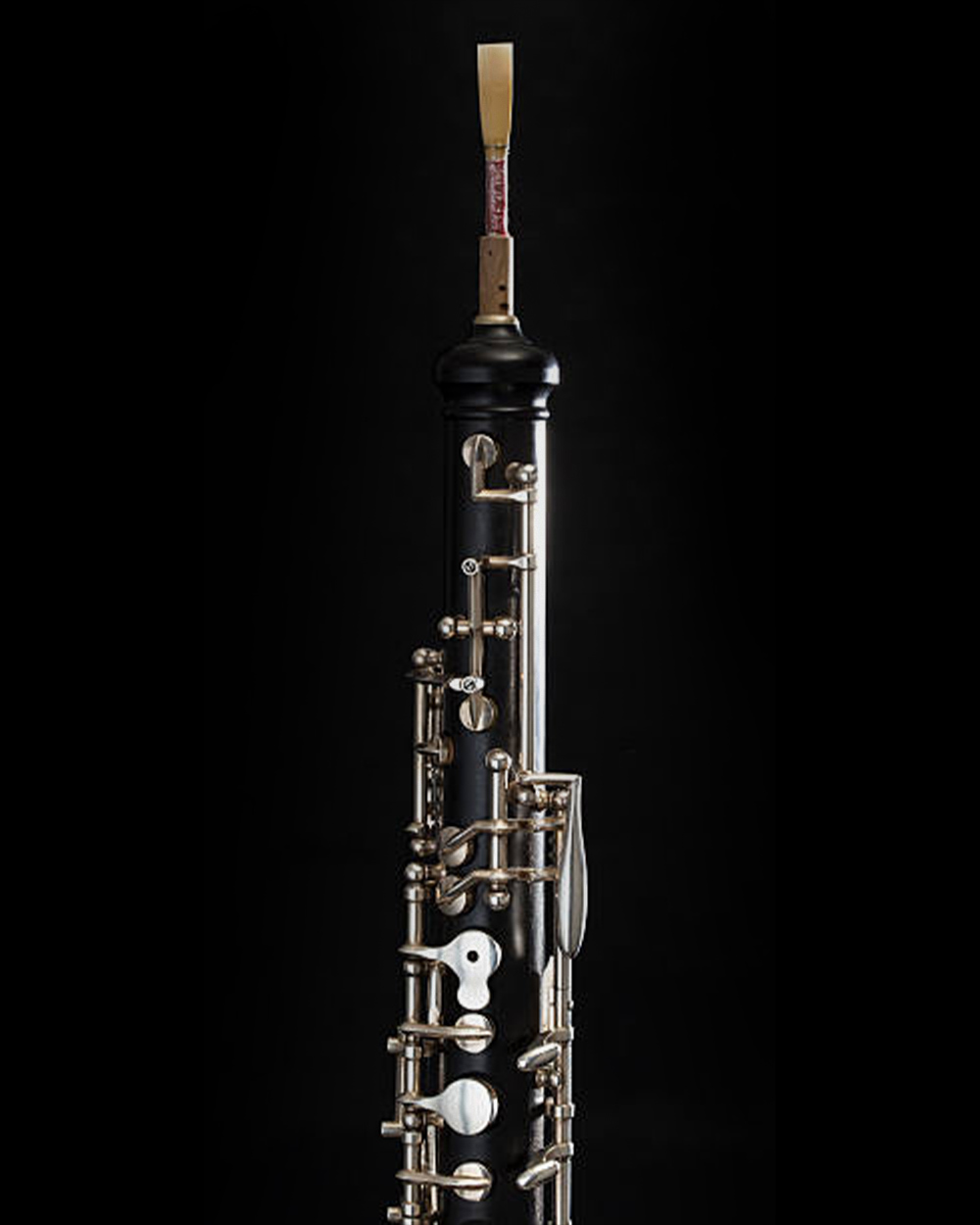 oboe