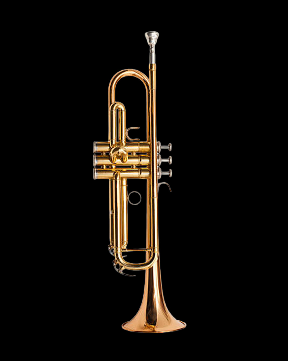 trumpet