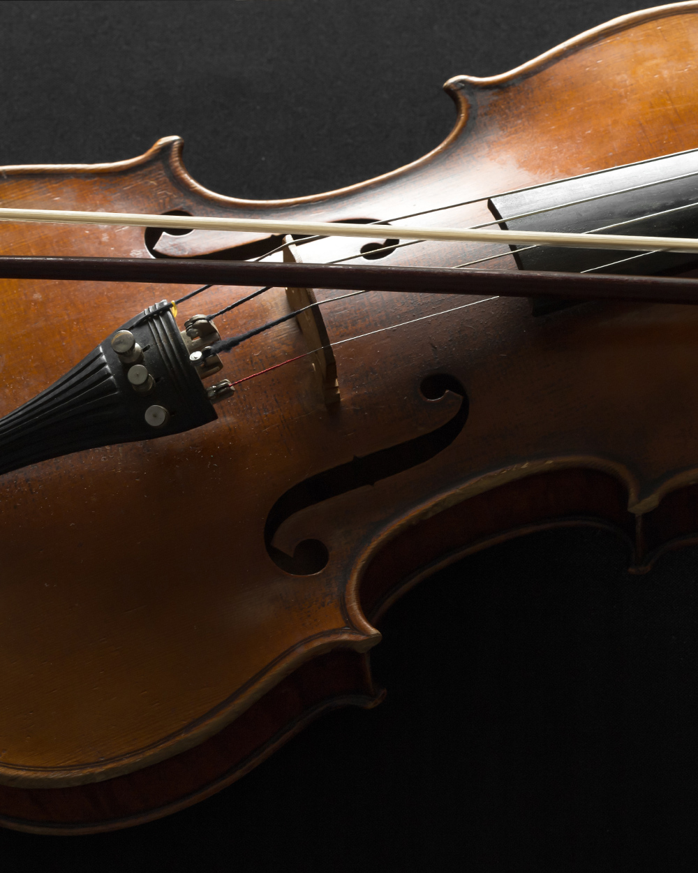 viola