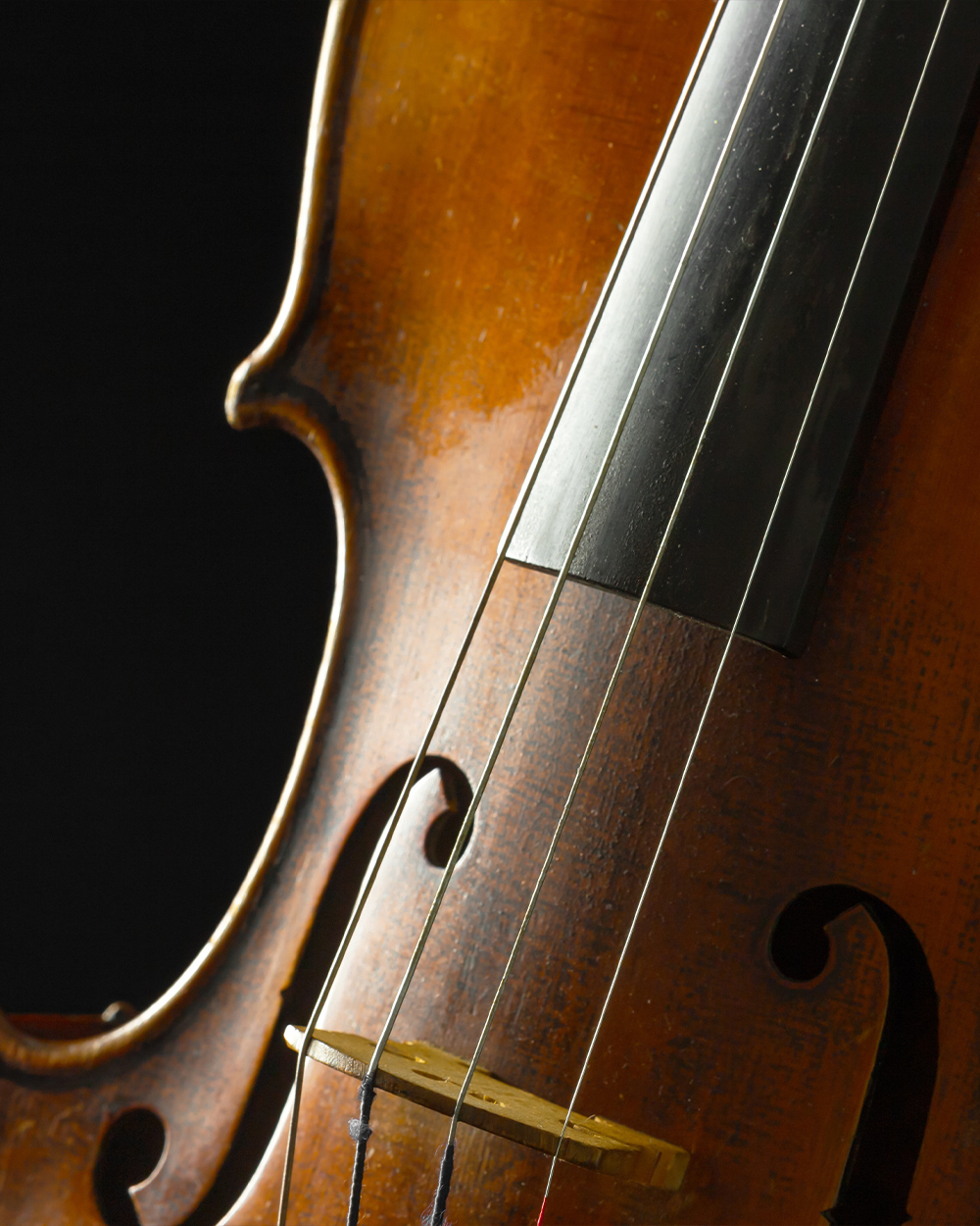 violin
